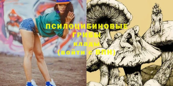 альфа пвп Гусь-Хрустальный