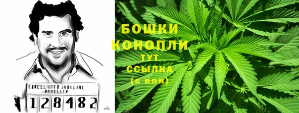 крисы Гусиноозёрск