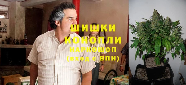 крисы Гусиноозёрск