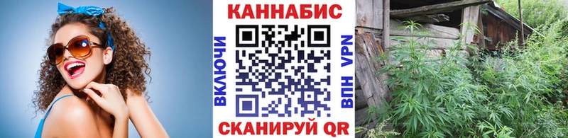 купить наркоту  Дрезна  omg ссылки  Марихуана сатива 